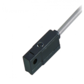 Reed Switch ES-48